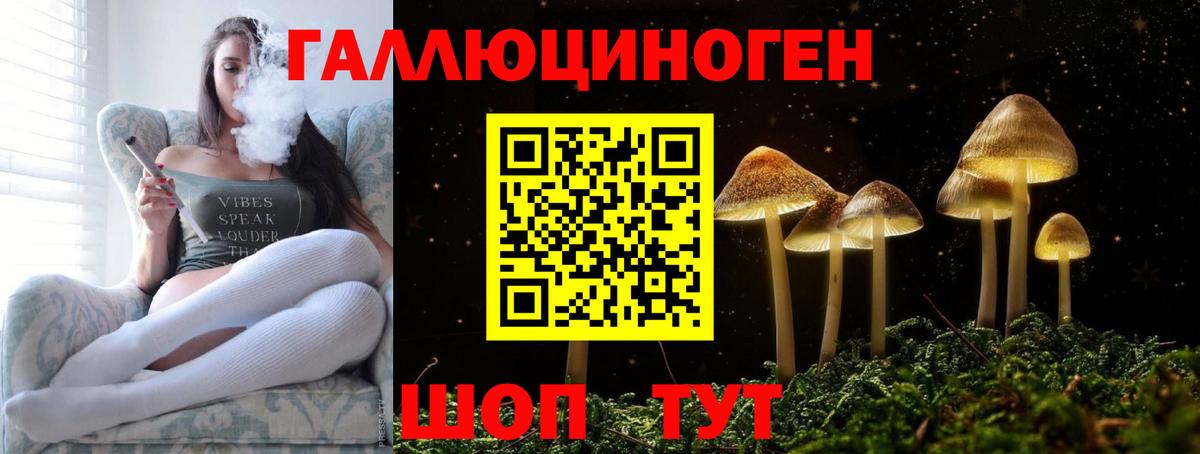 Галлюциногенные грибы мицелий Кандалакша